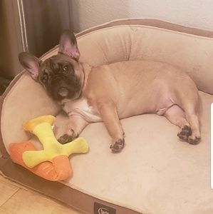 Meet your Posher, Mack